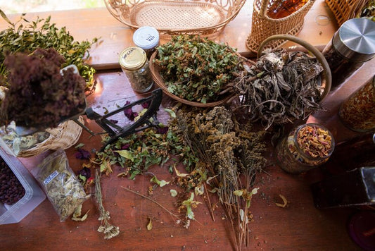 Shop African Herbs to Boost Immunity